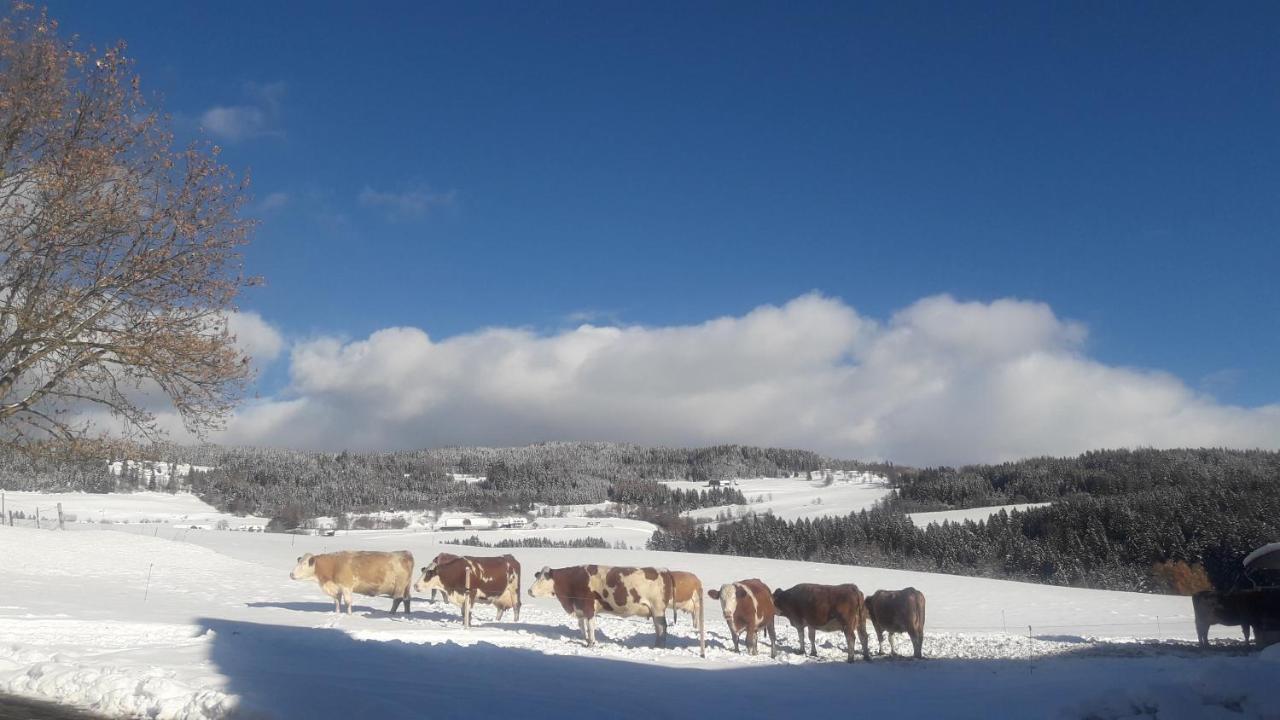 Gospodarstwo agroturystyczne Naturpark Bauernhof Sperl