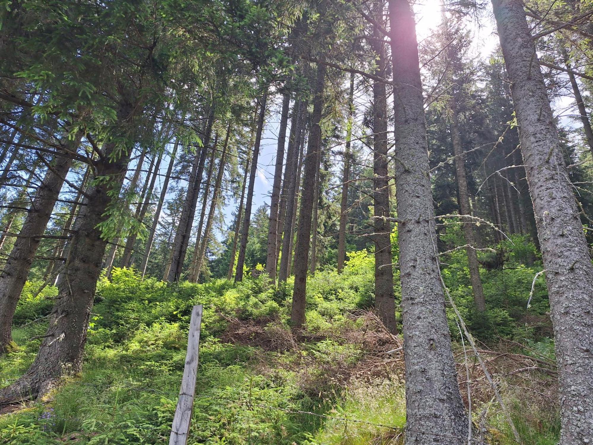 Naturpark Bauernhof Sperl