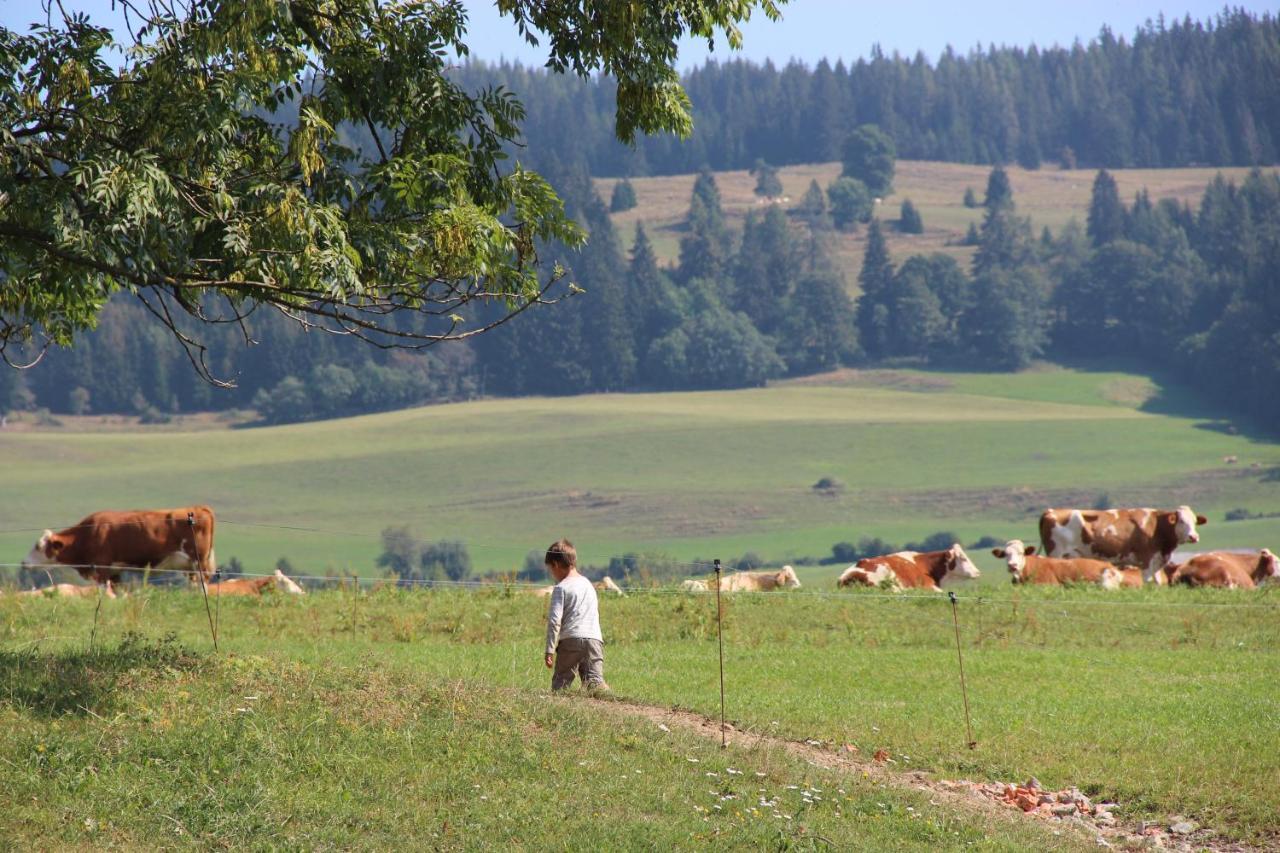 Gospodarstwo agroturystyczne Naturpark Bauernhof Sperl Mariahof