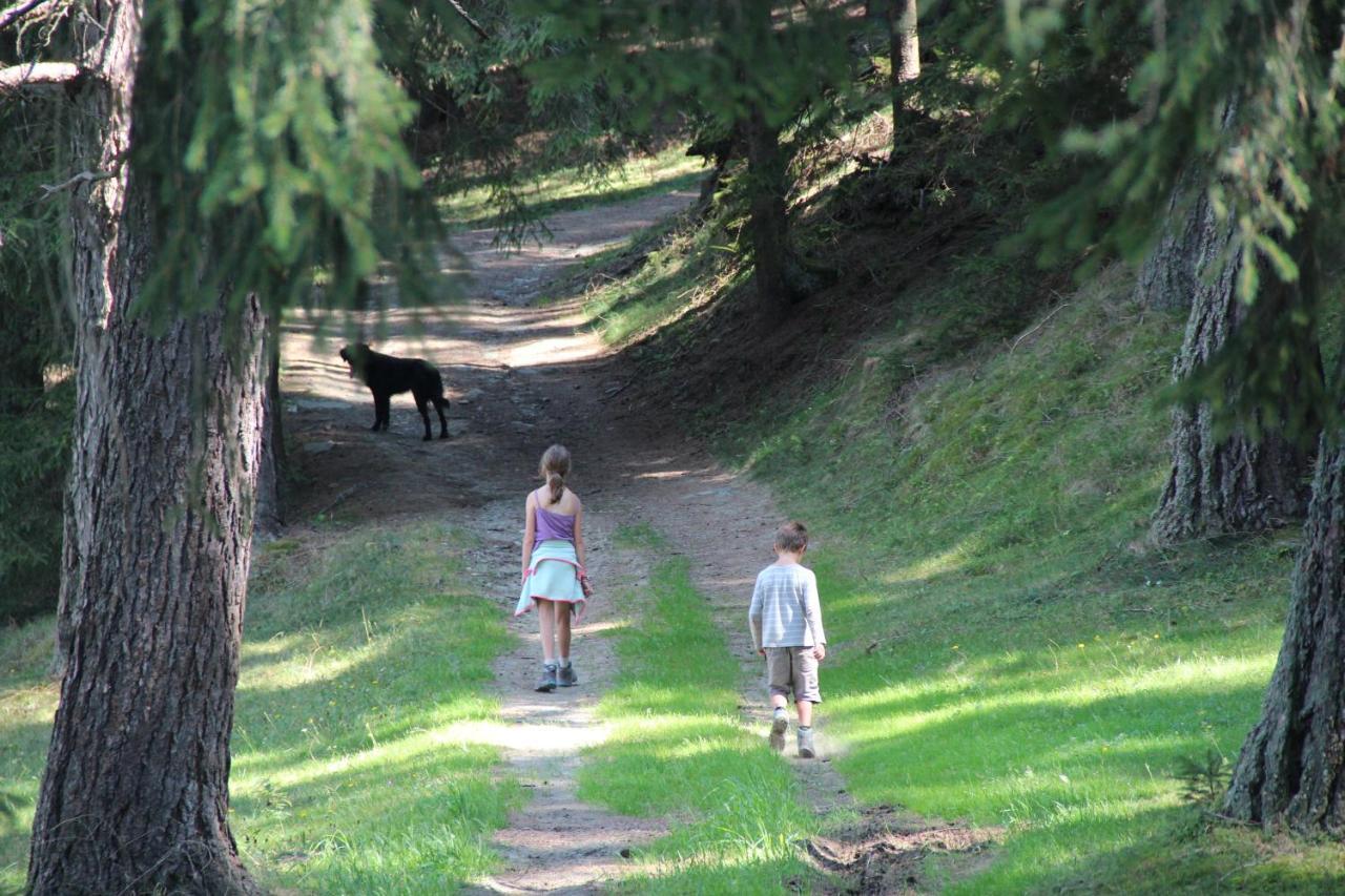 Gospodarstwo agroturystyczne Naturpark Bauernhof Sperl *